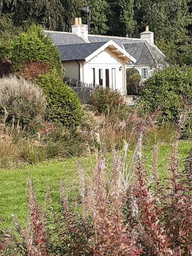 Springbank Cabin Insch Εξωτερικό φωτογραφία
